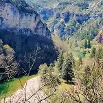 Maison Au Calme Entre Causses And Cevennes