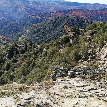 Maison Au Calme Entre Causses And Cevennes 度假居 *