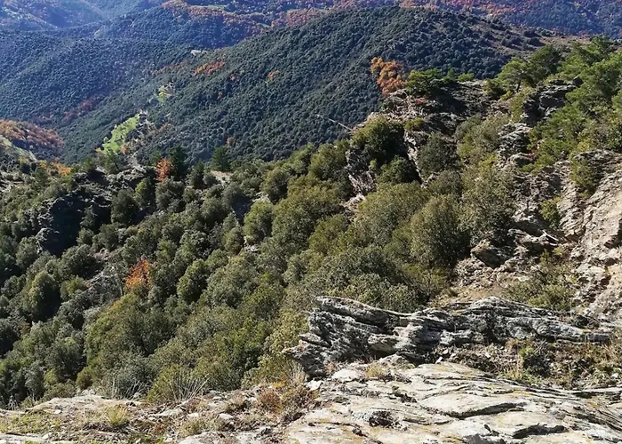 Maison Au Calme Entre Causses And Cevennes Vakantiehuis *