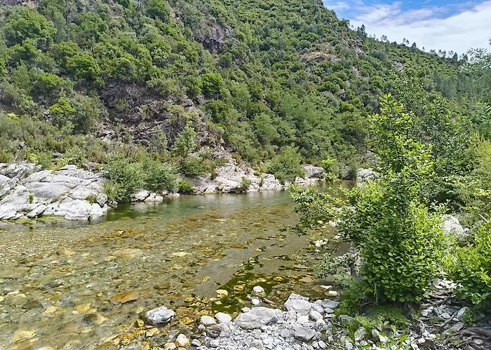 Maison Au Calme Entre Causses And Cevennes * Barre-des-Cévennes